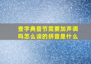 查字典音节需要加声调吗怎么读的拼音是什么