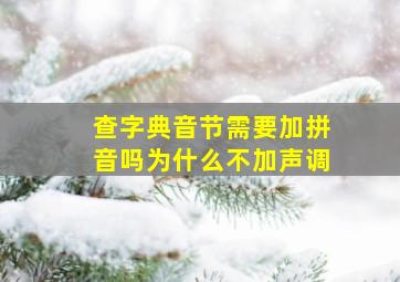 查字典音节需要加拼音吗为什么不加声调