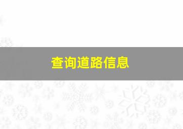 查询道路信息