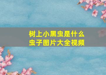 树上小黑虫是什么虫子图片大全视频