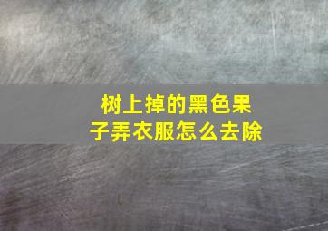 树上掉的黑色果子弄衣服怎么去除