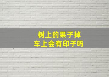 树上的果子掉车上会有印子吗