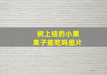 树上结的小黑果子能吃吗图片