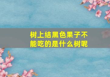 树上结黑色果子不能吃的是什么树呢