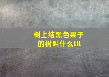 树上结黑色果子的树叫什么lll