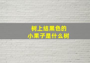 树上结黑色的小果子是什么树