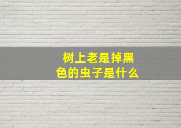 树上老是掉黑色的虫子是什么