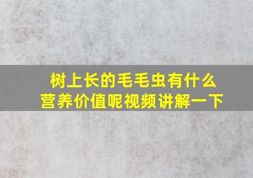 树上长的毛毛虫有什么营养价值呢视频讲解一下