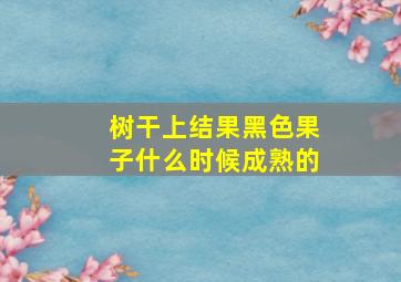 树干上结果黑色果子什么时候成熟的