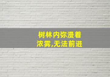 树林内弥漫着浓雾,无法前进