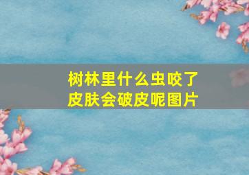 树林里什么虫咬了皮肤会破皮呢图片