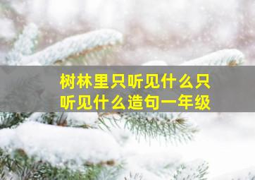 树林里只听见什么只听见什么造句一年级