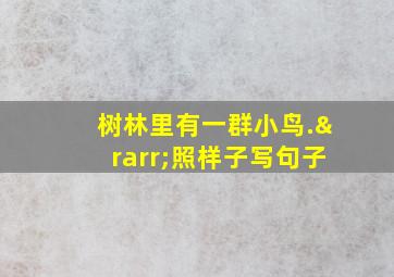 树林里有一群小鸟.→照样子写句子