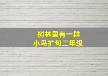 树林里有一群小鸟扩句二年级