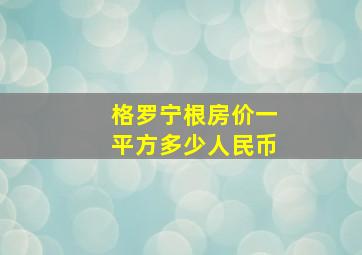 格罗宁根房价一平方多少人民币