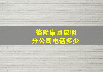 格隆集团昆明分公司电话多少