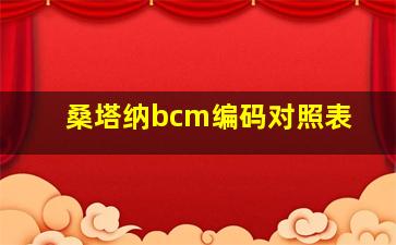 桑塔纳bcm编码对照表