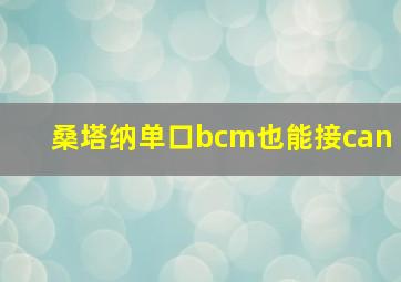 桑塔纳单口bcm也能接can