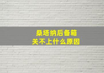 桑塔纳后备箱关不上什么原因