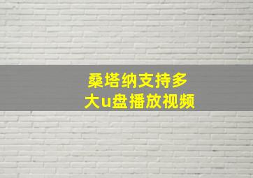 桑塔纳支持多大u盘播放视频