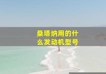 桑塔纳用的什么发动机型号