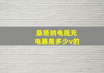 桑塔纳电瓶充电器是多少v的