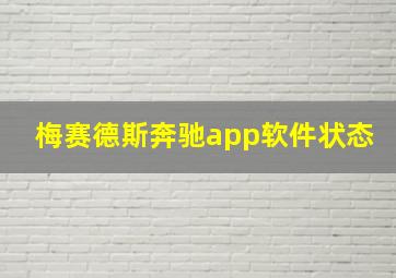 梅赛德斯奔驰app软件状态