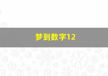 梦到数字12