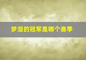 梦泪的冠军是哪个赛季