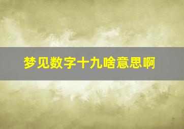 梦见数字十九啥意思啊