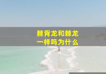 棘背龙和棘龙一样吗为什么