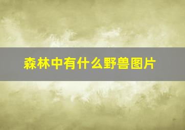 森林中有什么野兽图片