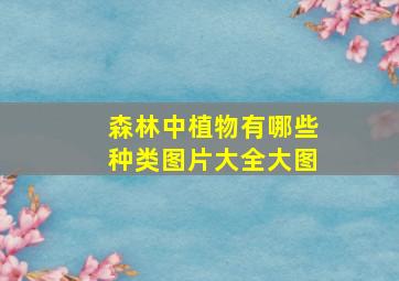 森林中植物有哪些种类图片大全大图