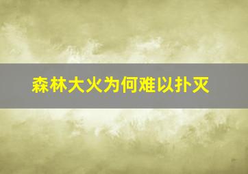 森林大火为何难以扑灭