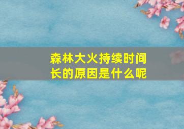 森林大火持续时间长的原因是什么呢