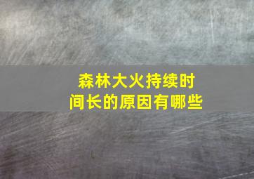 森林大火持续时间长的原因有哪些