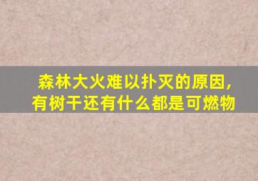 森林大火难以扑灭的原因,有树干还有什么都是可燃物