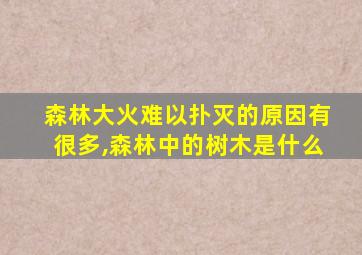 森林大火难以扑灭的原因有很多,森林中的树木是什么