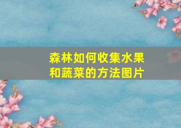 森林如何收集水果和蔬菜的方法图片