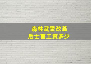 森林武警改革后士官工资多少