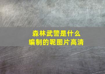 森林武警是什么编制的呢图片高清