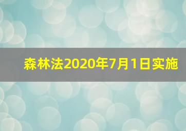 森林法2020年7月1日实施