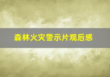 森林火灾警示片观后感