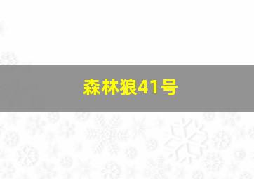 森林狼41号