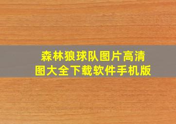 森林狼球队图片高清图大全下载软件手机版