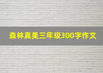 森林真美三年级300字作文