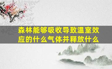 森林能够吸收导致温室效应的什么气体并释放什么