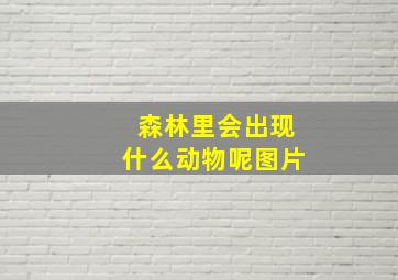 森林里会出现什么动物呢图片