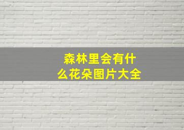 森林里会有什么花朵图片大全