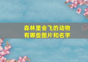 森林里会飞的动物有哪些图片和名字